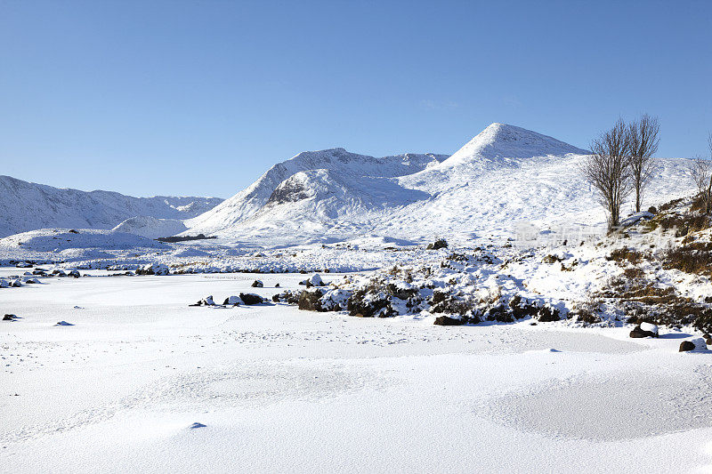 Rannoch Moor，苏格兰高地，苏格兰，英国